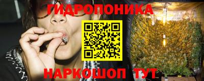 PSILOCYBIN Новозыбков