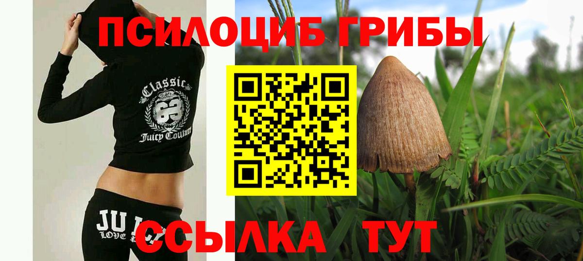 продажа наркотиков  Псилоцибиновые грибы Cubensis  Вход с VPN  Славянск-на-Кубани 